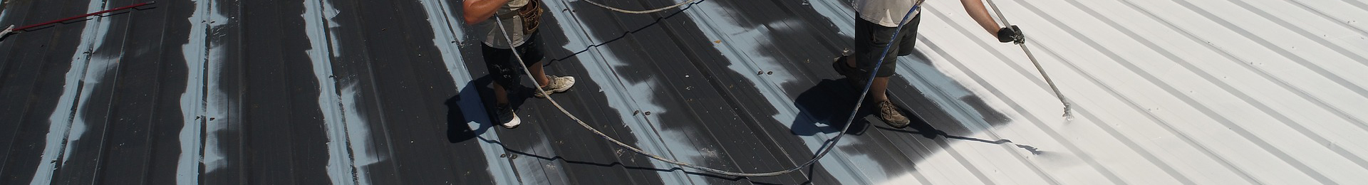 Roof Cleaning