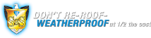 Storm Shield Roof Paint Systems Logo