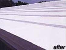 Water Proof Roof